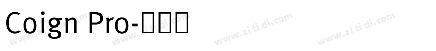 Coign Pro字体转换